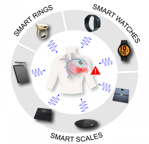 Smart Scales, Watches and Health Monitoring Devices